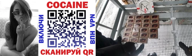 Cocaine Эквадор где купить наркоту дарк нет Telegram Снежногорск